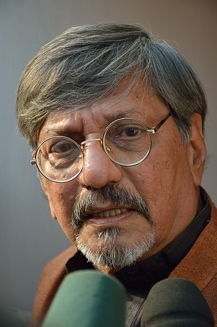 amol palekar