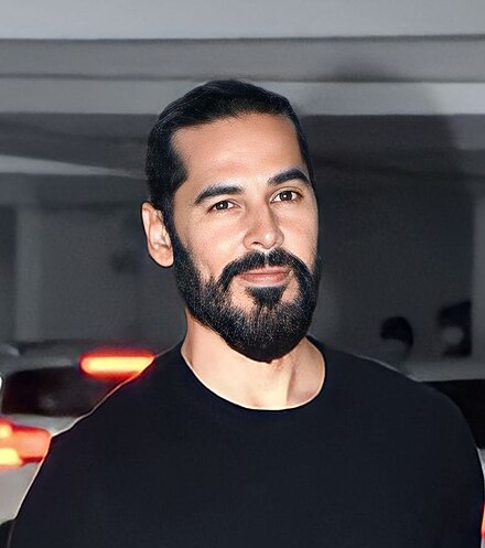 Dino Morea