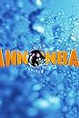 Cannonball