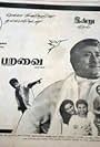 Gnana Paravai
