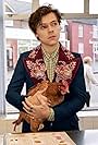 Gucci Men's Tailoring Campaign: Harry Styles