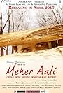 Meher Aali