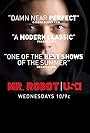 Mr. Robot
