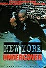 New York Undercover