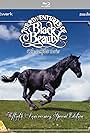 The Adventures of Black Beauty