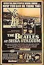 The Beatles at Shea Stadium