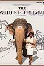 The White Elephant