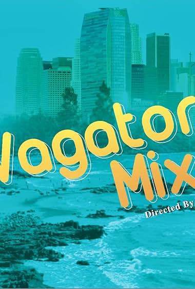 Vagator Mixer