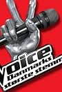 Voice - Danmarks største stemme